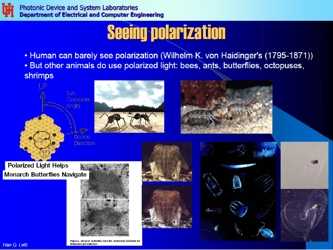 LectSet 1- Light propagation - spatial-ss1_18.gif