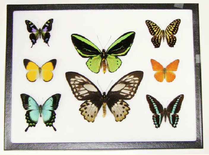 LectSet 1- Light propagation - spatial-ss1_37.gif