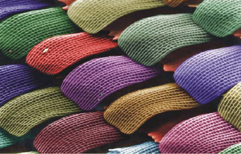 LectSet 1- Light propagation - spatial-ss1_38.gif