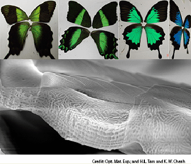 LectSet 1- Light propagation - spatial-ss1_39.gif
