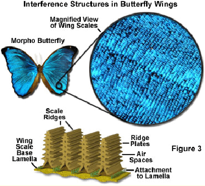 LectSet 1- Light propagation - spatial-ss1_86.gif